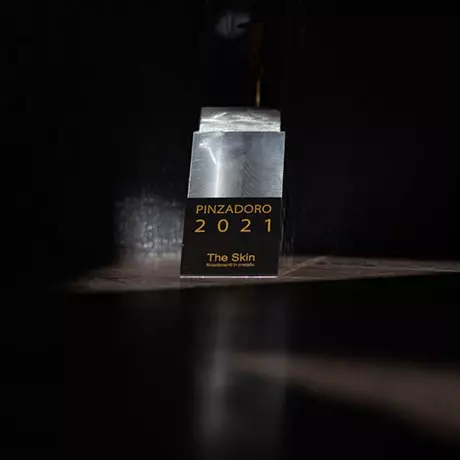 PINZADORO 2021, il massimo riconoscimento per il più bravo lattoniere che ha utilizzato i sistemi The Skin