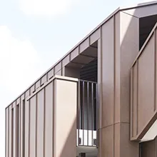 The Skin soluzione aggraffato